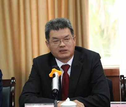 李取华在知识产权保护研讨会上的发言